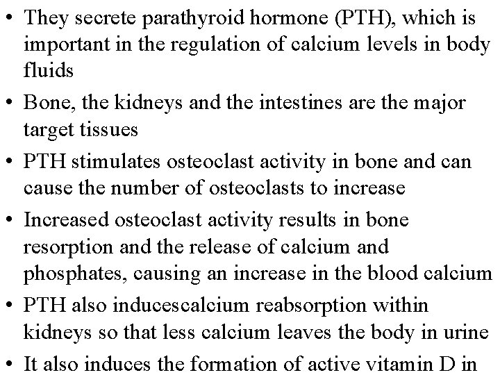  • They secrete parathyroid hormone (PTH), which is important in the regulation of