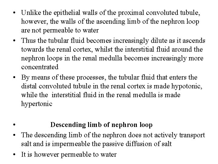  • Unlike the epithelial walls of the proximal convoluted tubule, however, the walls