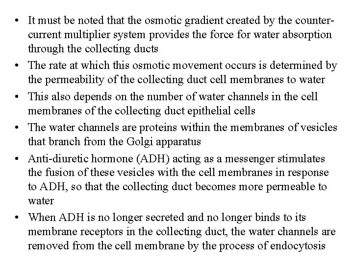  • It must be noted that the osmotic gradient created by the countercurrent