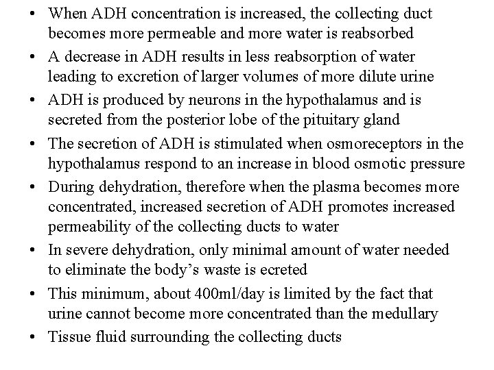  • When ADH concentration is increased, the collecting duct becomes more permeable and