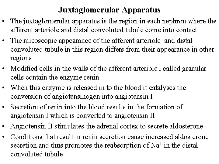 Juxtaglomerular Apparatus • The juxtaglomerular apparatus is the region in each nephron where the