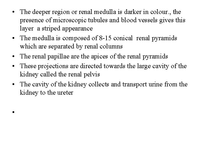  • The deeper region or renal medulla is darker in colour. , the