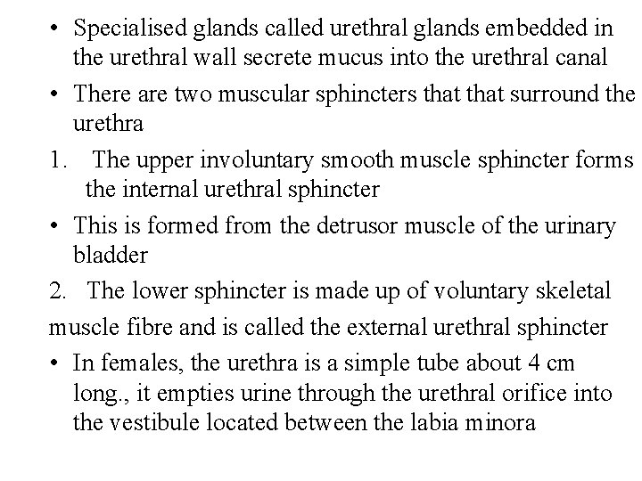  • Specialised glands called urethral glands embedded in the urethral wall secrete mucus