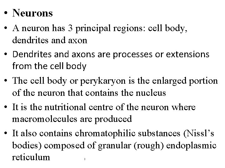  • Neurons • A neuron has 3 principal regions: cell body, dendrites and