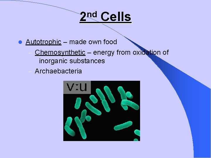 nd 2 Cells Autotrophic – made own food – Chemosynthetic – energy from oxidation