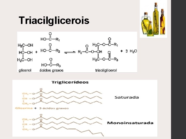 Triacilglicerois 