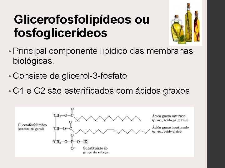 Glicerofosfolipídeos ou fosfoglicerídeos • Principal componente lipídico das membranas biológicas. • Consiste • C