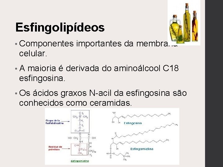 Esfingolipídeos • Componentes importantes da membrana celular. • A maioria é derivada do aminoálcool