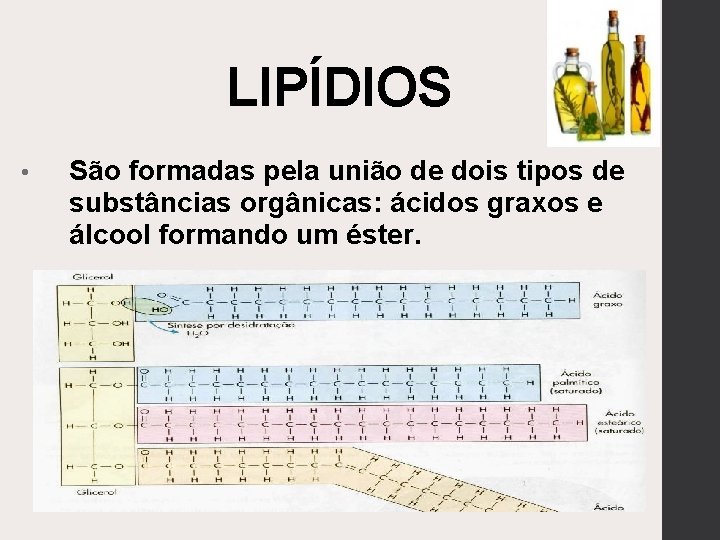 LIPÍDIOS • São formadas pela união de dois tipos de substâncias orgânicas: ácidos graxos