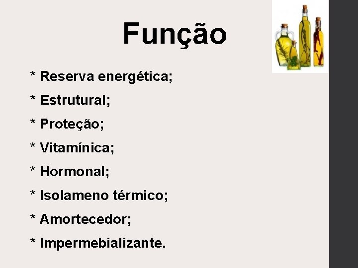 Função * Reserva energética; * Estrutural; * Proteção; * Vitamínica; * Hormonal; * Isolameno