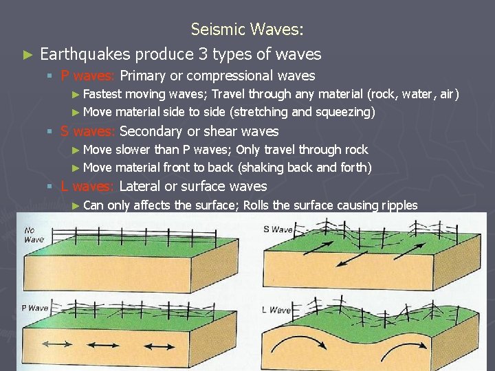 Seismic Waves: ► Earthquakes produce 3 types of waves § P waves: Primary or
