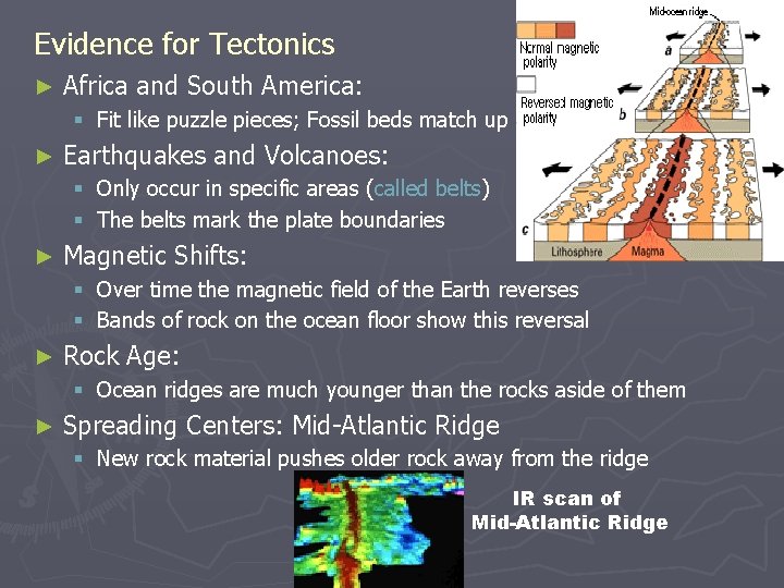 Evidence for Tectonics ► Africa and South America: § Fit like puzzle pieces; Fossil