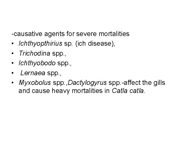 -causative agents for severe mortalities • Ichthyopthirius sp. (ich disease), • Trichodina spp. , -causative agents for severe mortalities • Ichthyopthirius sp. (ich disease), • Trichodina spp. ,