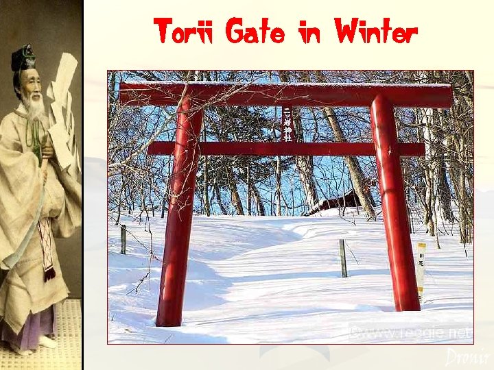 Torii Gate in Winter 