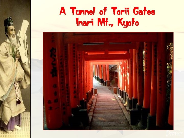 A Tunnel of Torii Gates Inari Mt. , Kyoto 