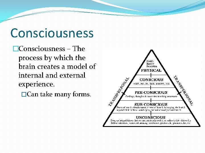 Consciousness �Consciousness – The process by which the brain creates a model of internal