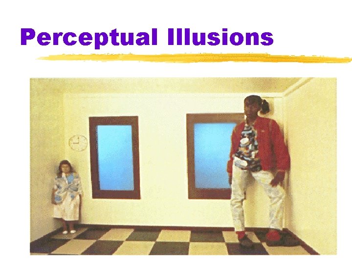 Perceptual Illusions Perceptual Illusions
