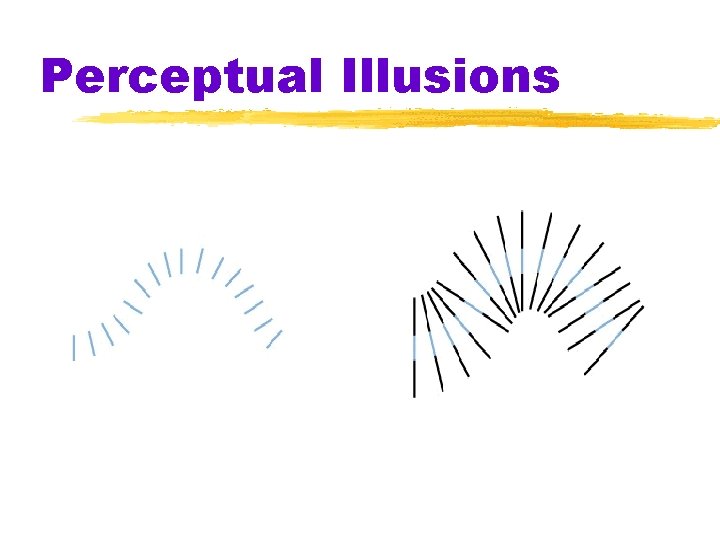 Perceptual Illusions Perceptual Illusions