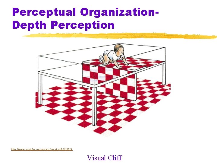 Perceptual Organization. Depth Perception http: //www. youtube. com/watch? v=p 6 cq. Nh. Hr. MJA Perceptual Organization. Depth Perception http: //www. youtube. com/watch? v=p 6 cq. Nh. Hr. MJA