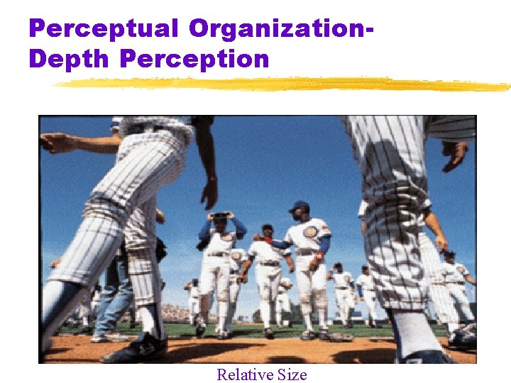 Perceptual Organization. Depth Perception Relative Size Perceptual Organization. Depth Perception Relative Size