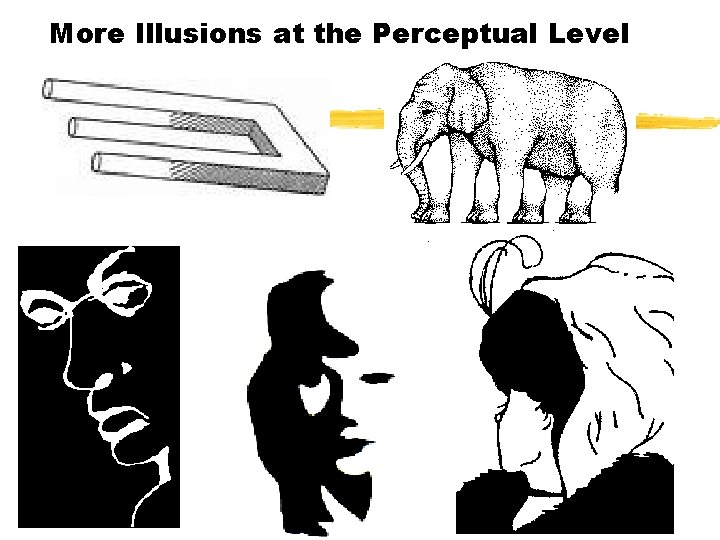 More Illusions at the Perceptual Level More Illusions at the Perceptual Level