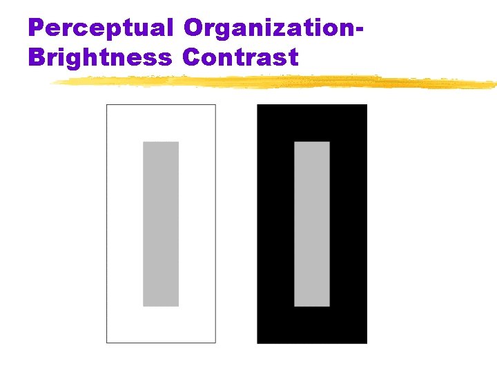 Perceptual Organization. Brightness Contrast Perceptual Organization. Brightness Contrast