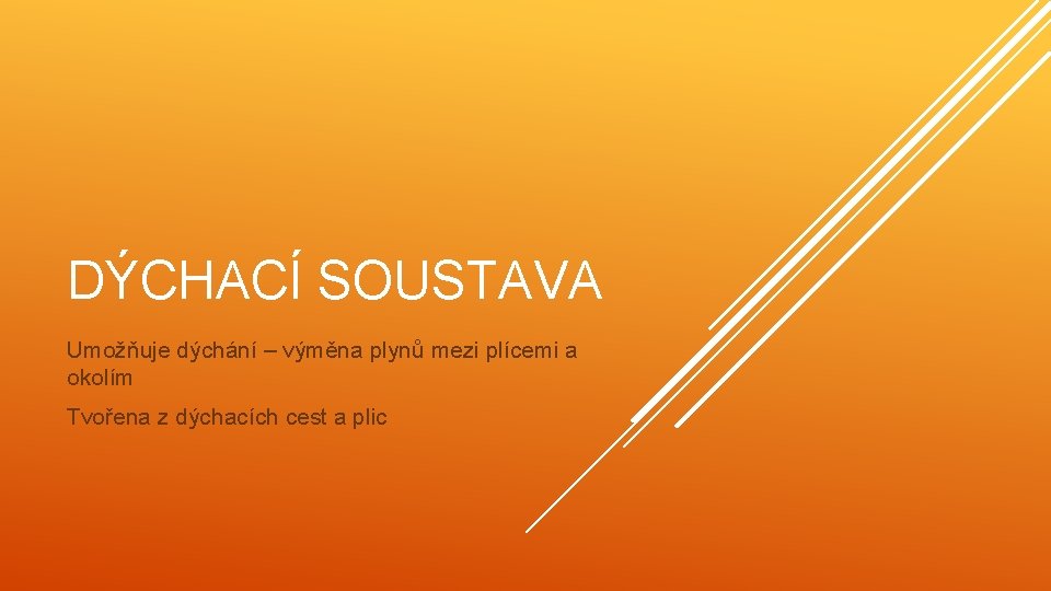 DÝCHACÍ SOUSTAVA Umožňuje dýchání – výměna plynů mezi plícemi a okolím Tvořena z dýchacích