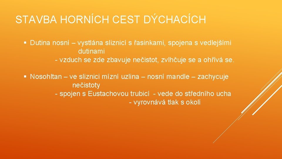 STAVBA HORNÍCH CEST DÝCHACÍCH § Dutina nosní – vystlána sliznicí s řasinkami, spojena s