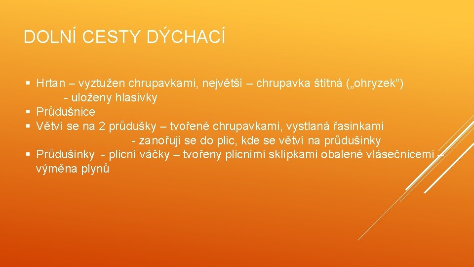 DOLNÍ CESTY DÝCHACÍ § Hrtan – vyztužen chrupavkami, největší – chrupavka štítná („ohryzek“) -