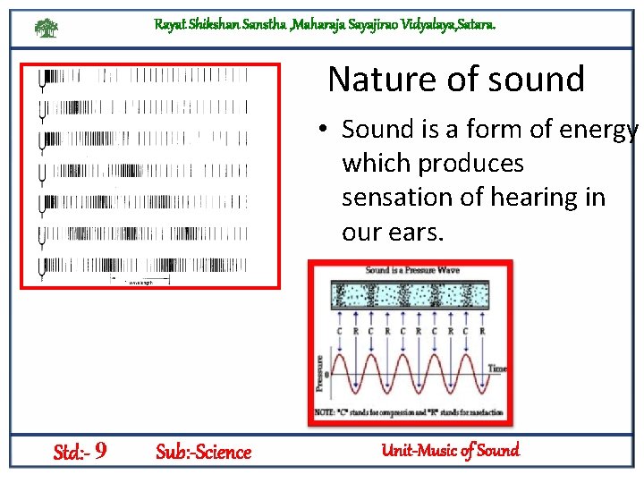 Rayat Shikshan Sanstha , Maharaja Sayajirao Vidyalaya, Satara. Nature of sound • Sound is