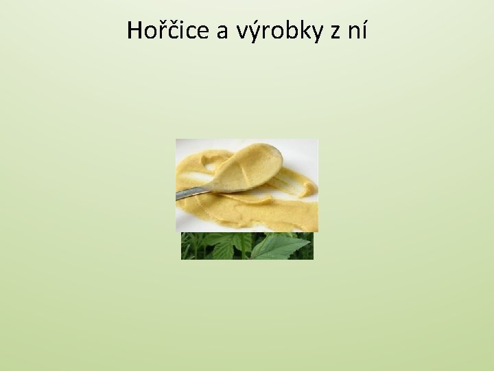 Hořčice a výrobky z ní 