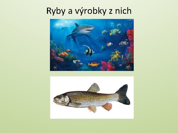 Ryby a výrobky z nich 