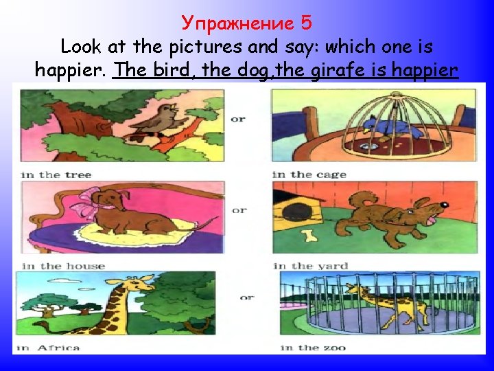 Упражнение 5 Look at the pictures and say: which one is happier. The bird,