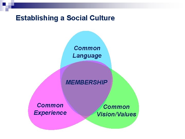 Establishing a Social Culture Common Language MEMBERSHIP Common Experience Common Vision/Values 