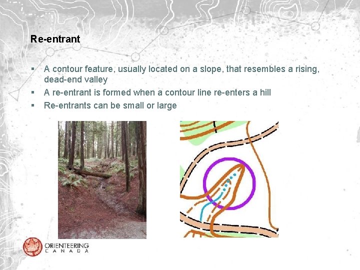 Re-entrant § § § A contour feature, usually located on a slope, that resembles