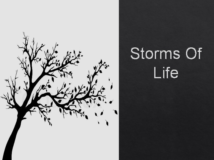 Storms Of Life 