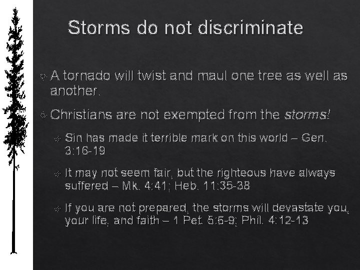 Storms do not discriminate A tornado will twist and maul one tree as well