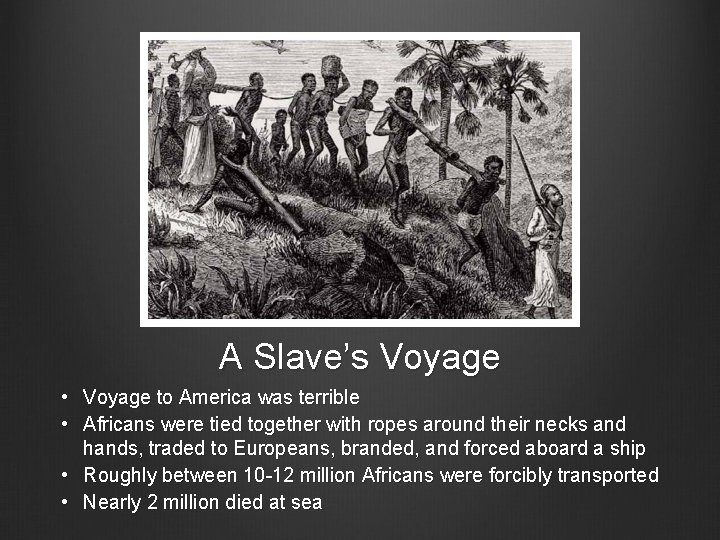 A Slave’s Voyage • Voyage to America was terrible • Africans were tied together