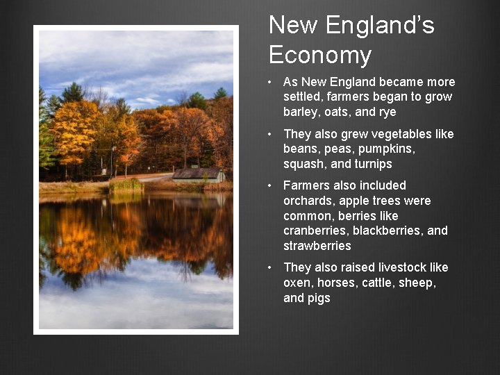 New England’s Economy • As New England became more settled, farmers began to grow