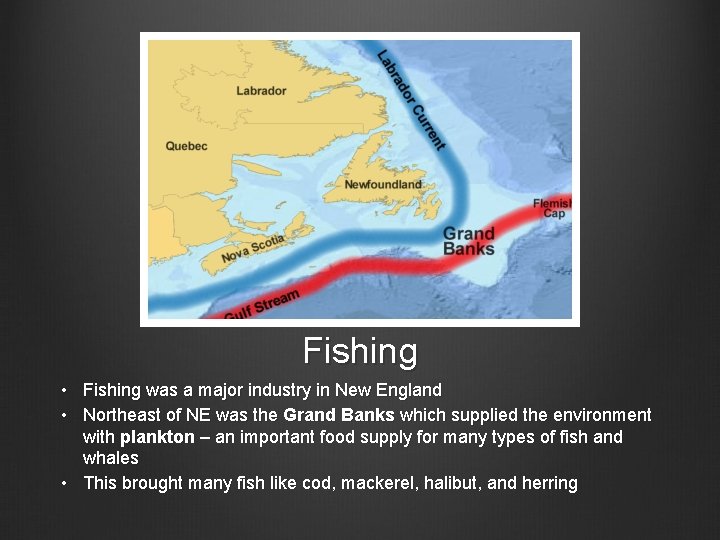 Fishing • Fishing was a major industry in New England • Northeast of NE