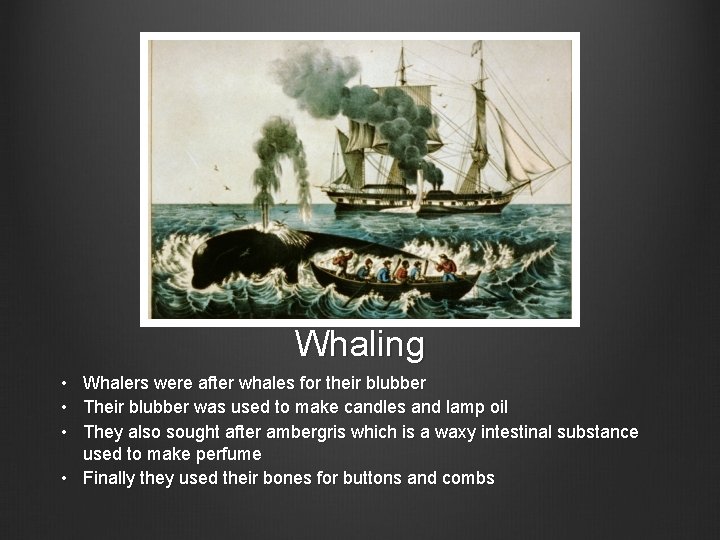 Whaling • Whalers were after whales for their blubber • Their blubber was used