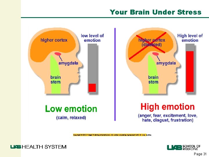 Your Brain Under Stress Copyright © 2013. Target Training International, Ltd. under Licensing Agreement