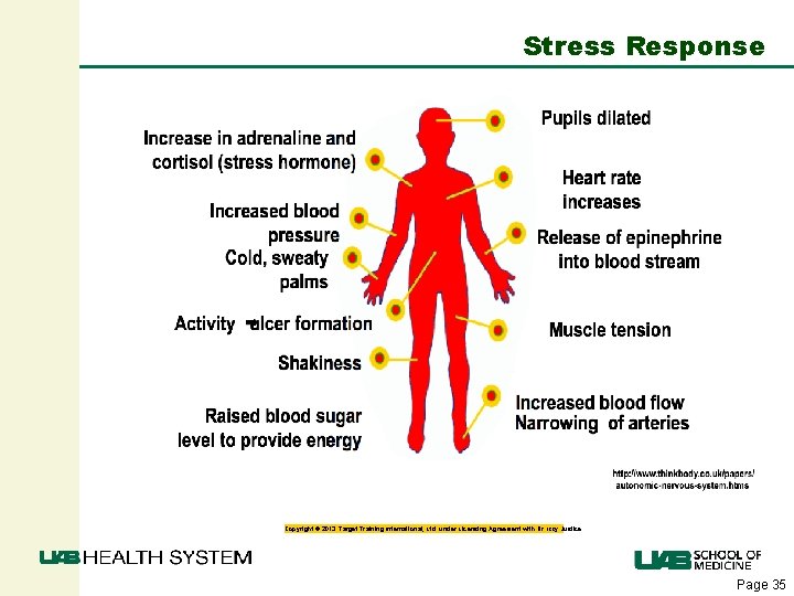 Stress Response Copyright © 2013. Target Training International, Ltd. under Licensing Agreement with Dr.