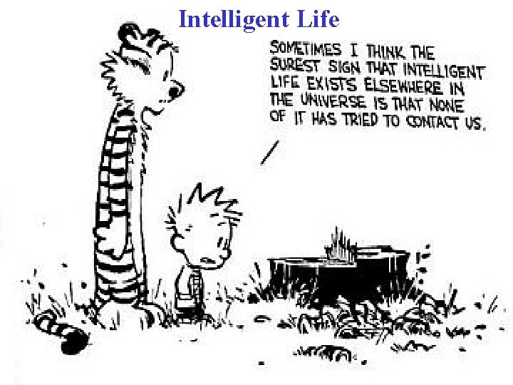 Intelligent Life 