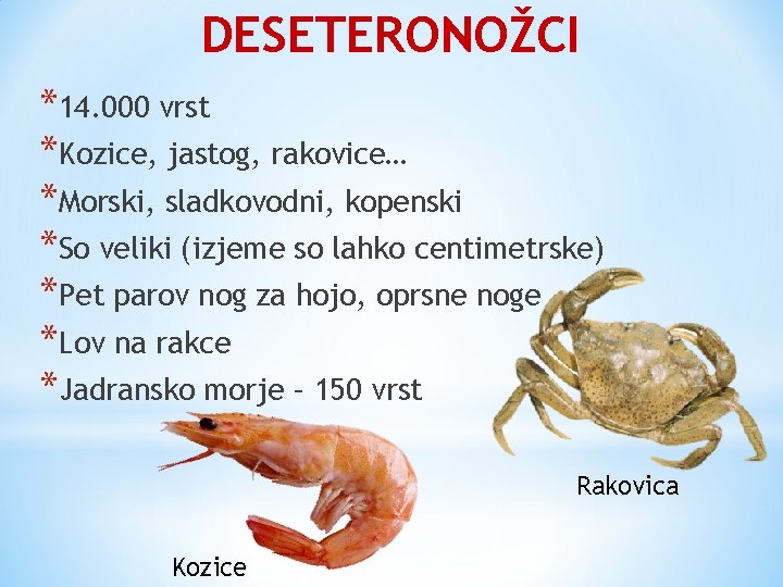 DESETERONOŽCI *14. 000 vrst *Kozice, jastog, rakovice… *Morski, sladkovodni, kopenski *So veliki (izjeme so