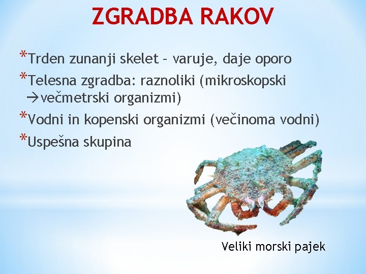 ZGRADBA RAKOV *Trden zunanji skelet – varuje, daje oporo *Telesna zgradba: raznoliki (mikroskopski večmetrski