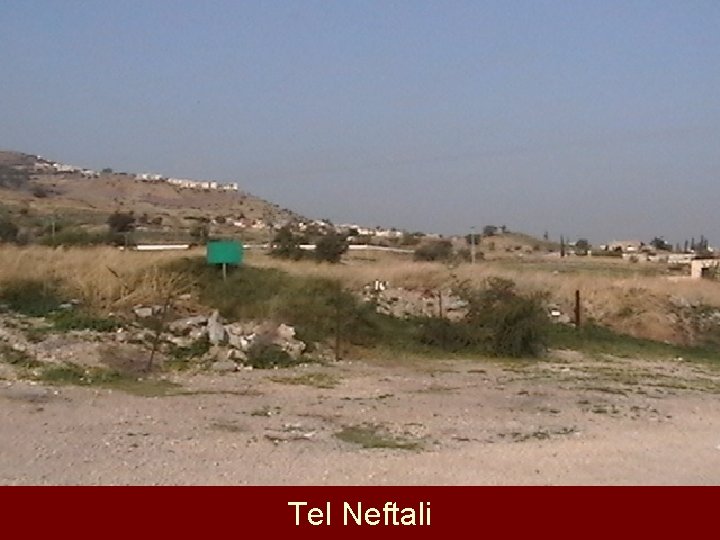 Tel Neftali 