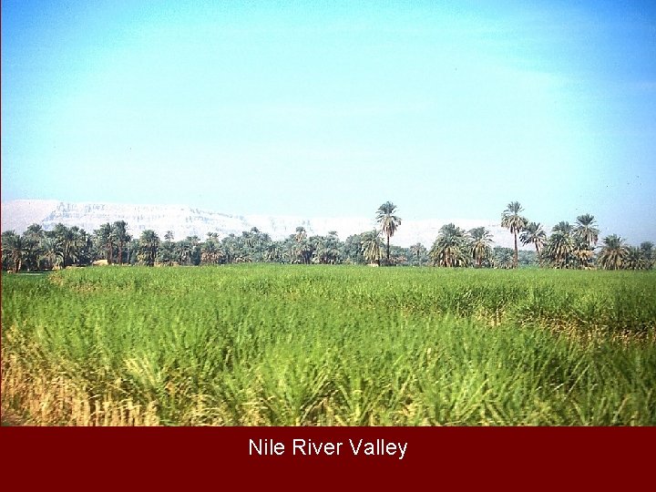 Nile River Valley 