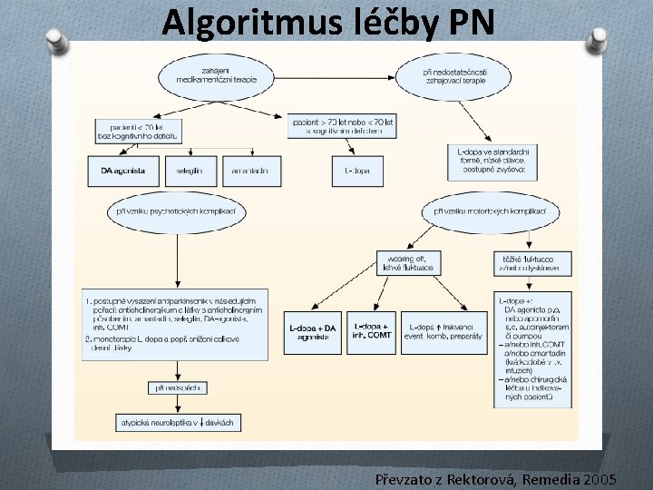 Algoritmus léčby PN Převzato z Rektorová, Remedia 2005 