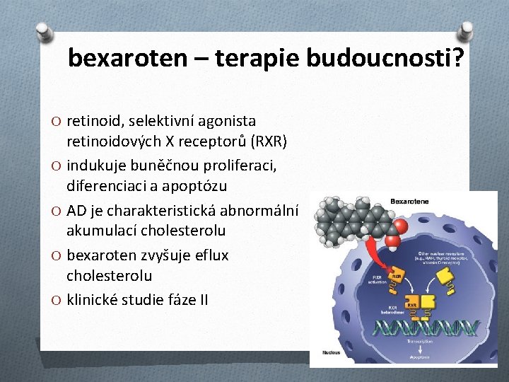 bexaroten – terapie budoucnosti? O retinoid, selektivní agonista retinoidových X receptorů (RXR) O indukuje